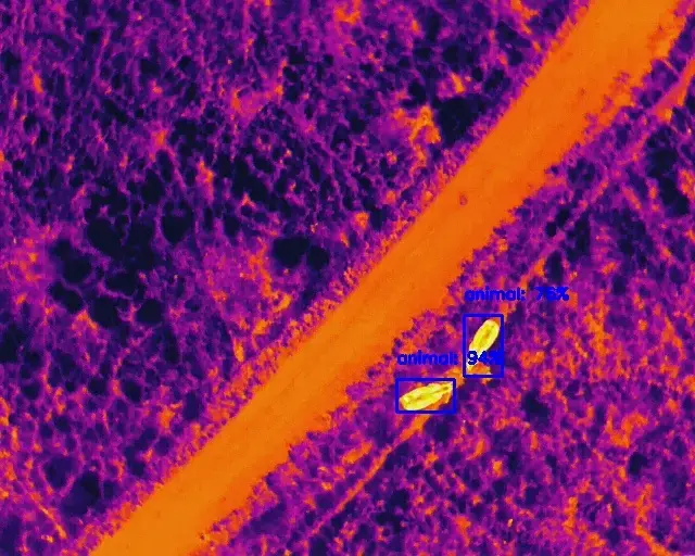 Drone-Based Wildlife Monitoring and Anti-Poaching System